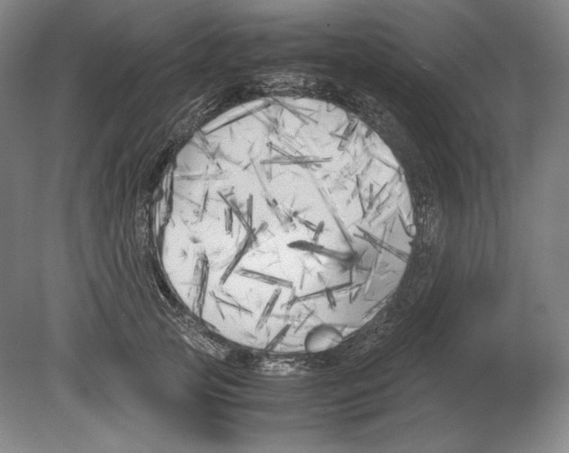 X0000080170753200701051631