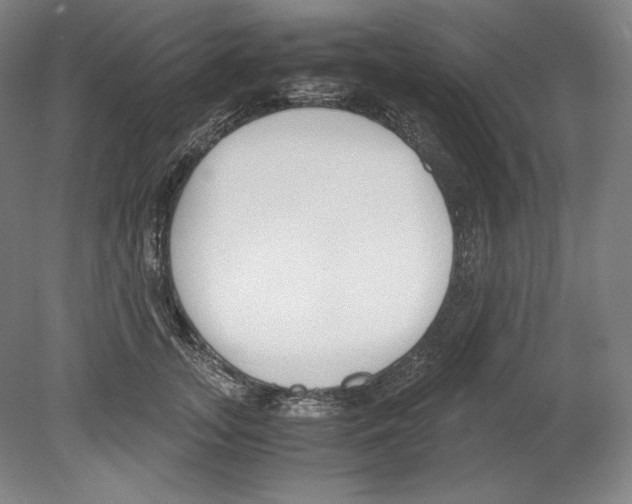 X0000080170755200701051631