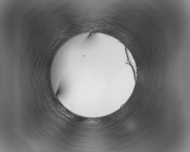 X0000080170756200701051631