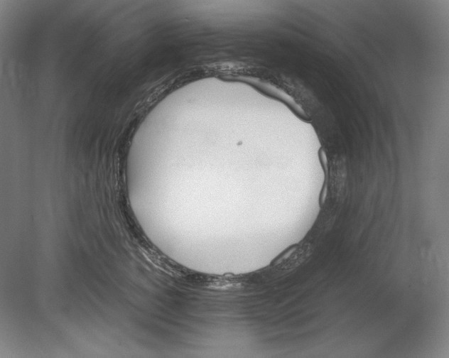 X0000080170760200701051631