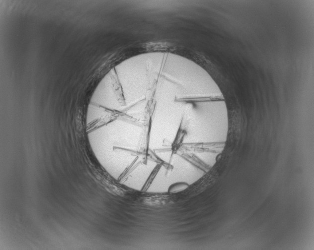 X0000080170761200701051631