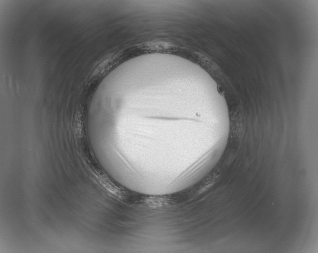 X0000080170762200701051631
