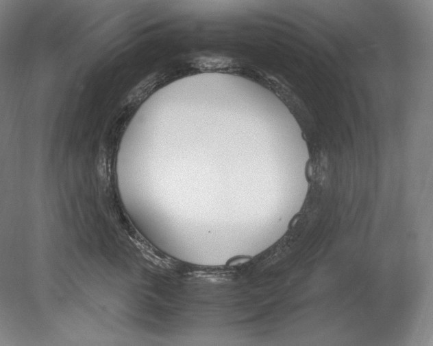 X0000080170763200701051631