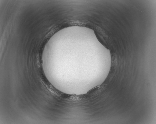 X0000080170764200701051631