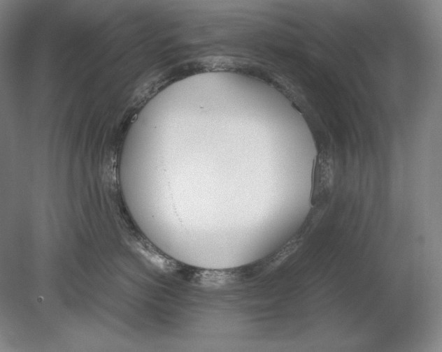 X0000080170766200701051631