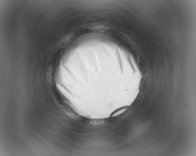 X0000080170767200701051631
