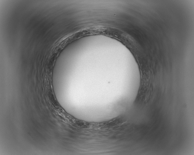 X0000080170773200701051630