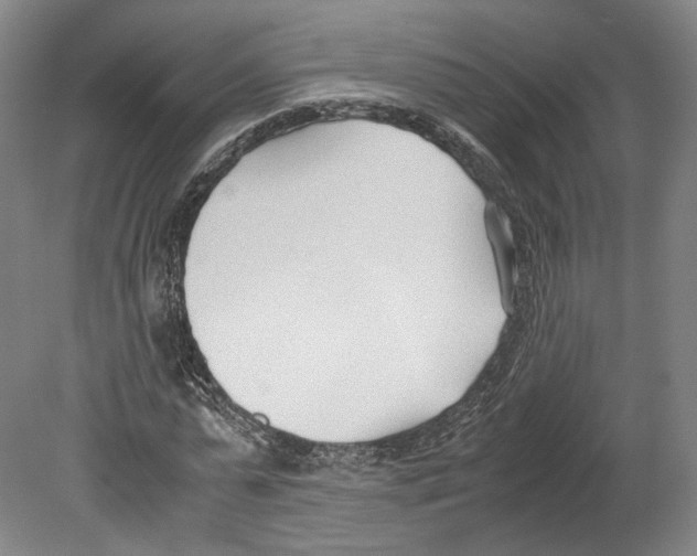 X0000080170775200701051630