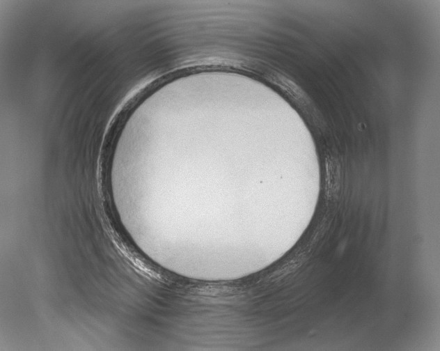 X0000080170780200701051630
