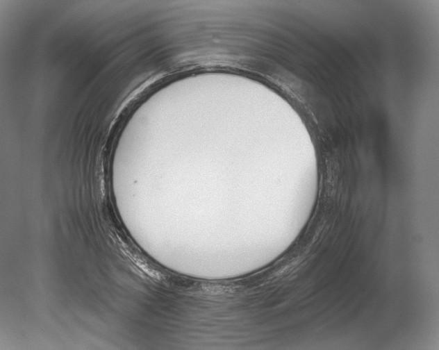 X0000080170782200701051630