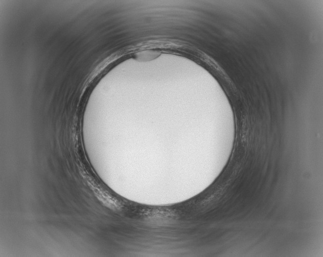 X0000080170786200701051630