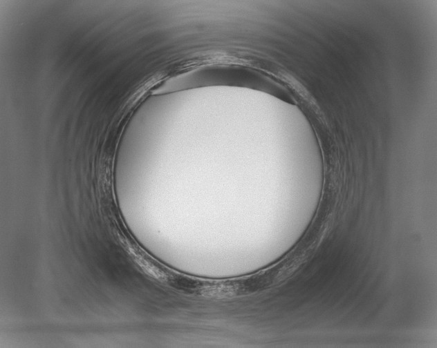 X0000080170793200701051630