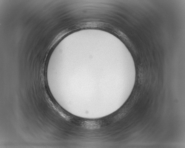 X0000080170794200701051630