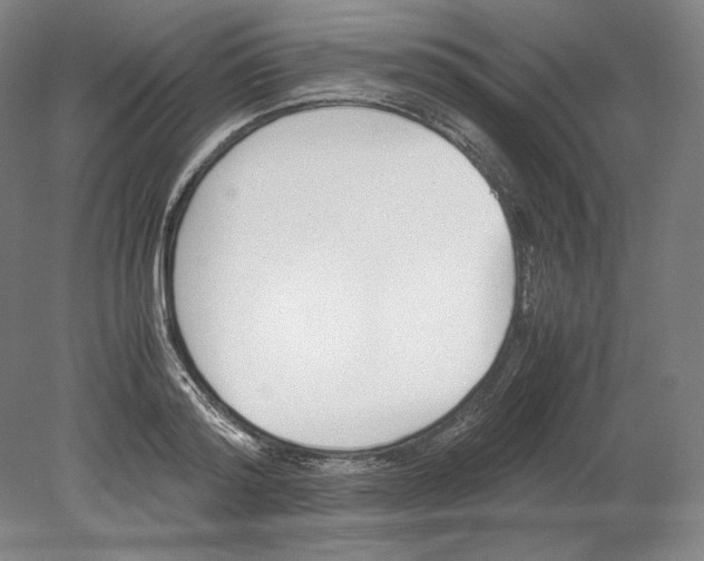 X0000080170796200701051630