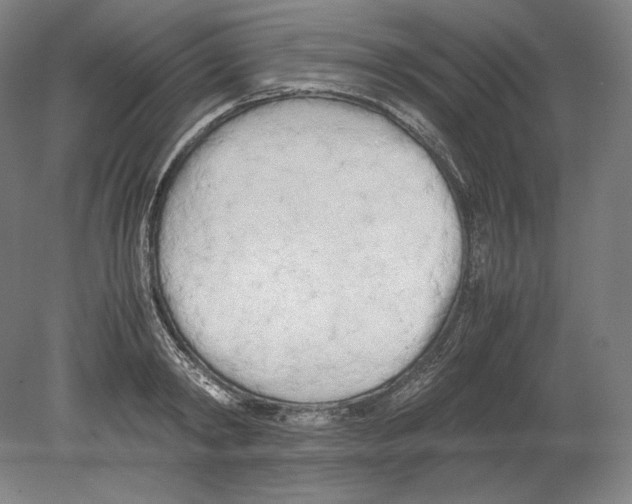 X0000080170798200701051630