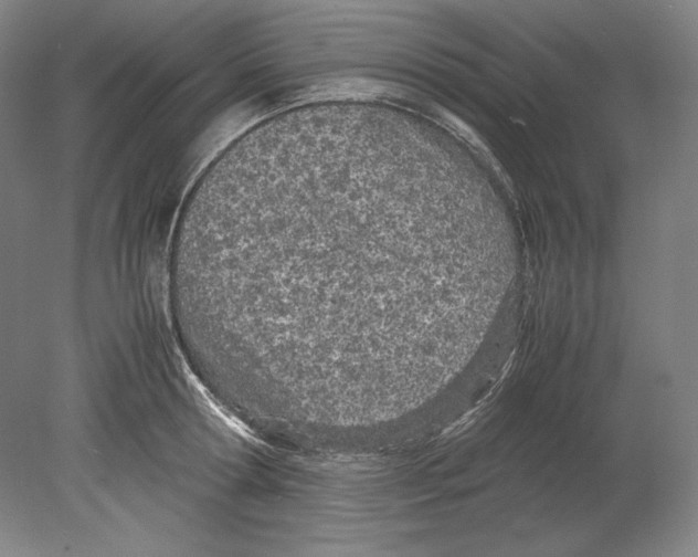 X0000080170802200701051630