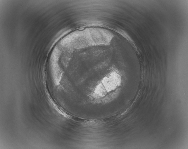 X0000080170806200701051630
