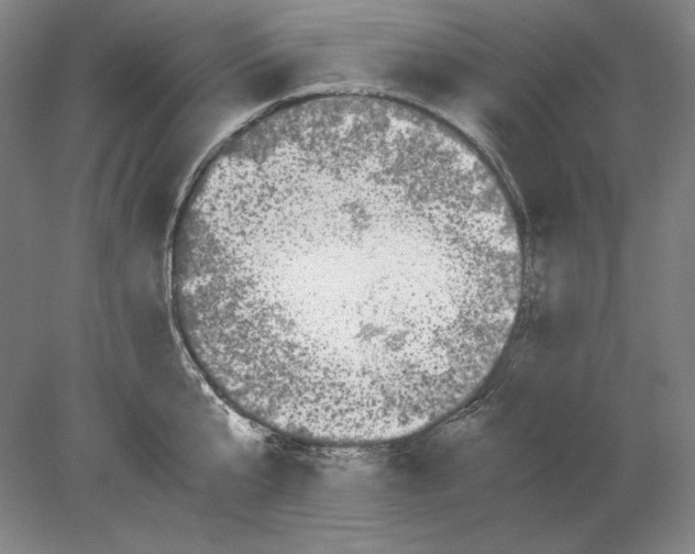 X0000080170807200701051630