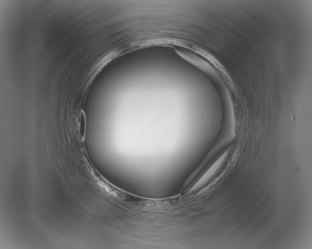 X0000080170809200701051630