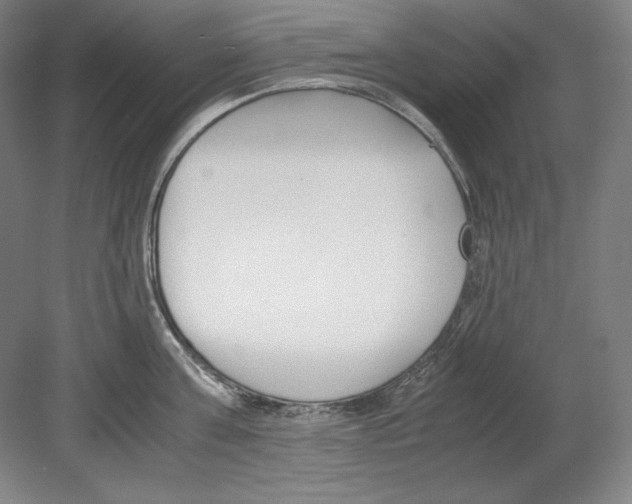 X0000080170811200701051629