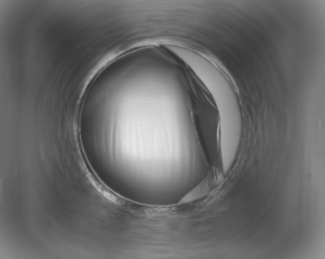X0000080170813200701051629