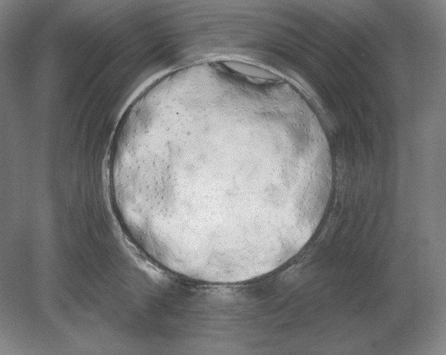 X0000080170814200701051629