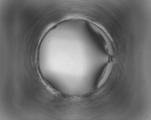 X0000080170815200701051629
