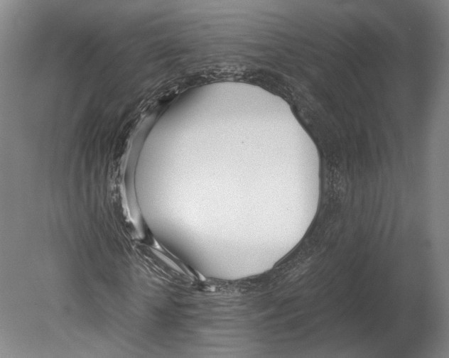 X0000080170818200701051629