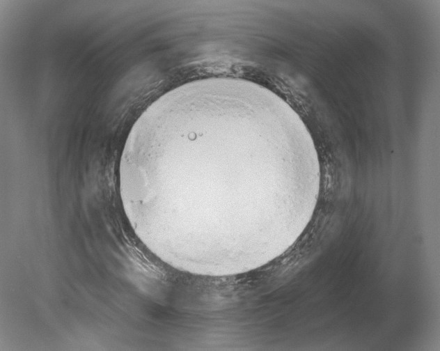 X0000080170820200701051629