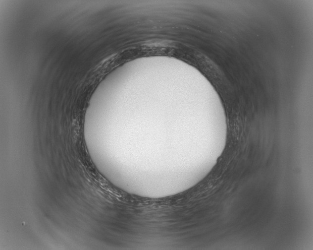 X0000080170821200701051629