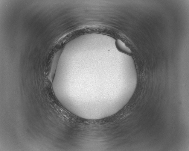 X0000080170822200701051629
