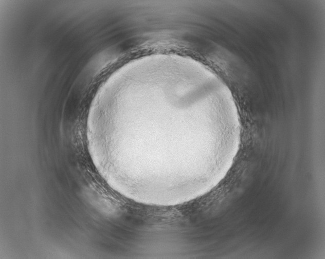 X0000080170824200701051629
