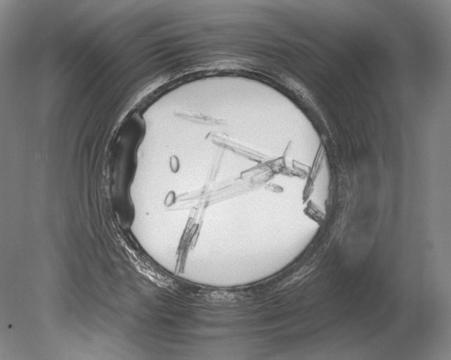 X0000080170827200701051629