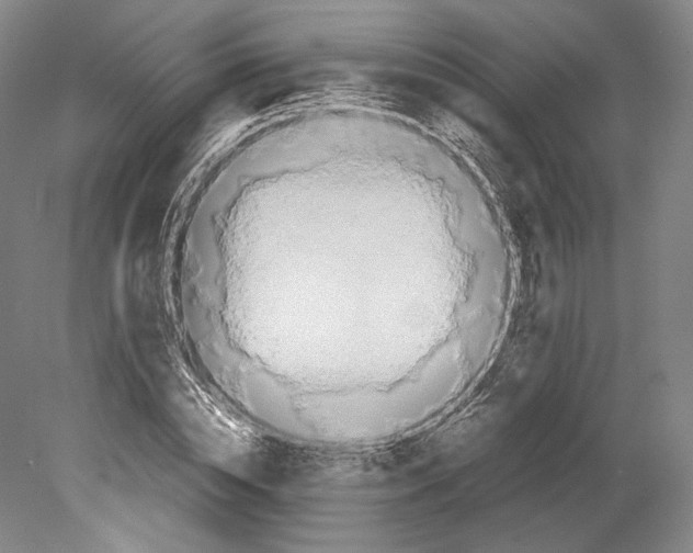X0000080170828200701051629