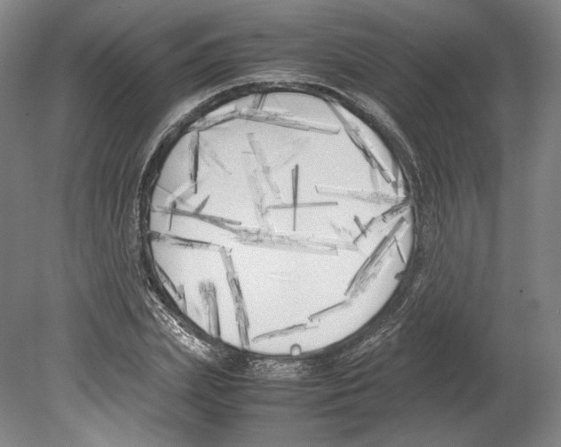 X0000080170831200701051629