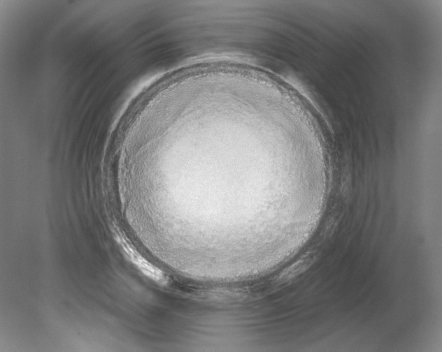 X0000080170832200701051629