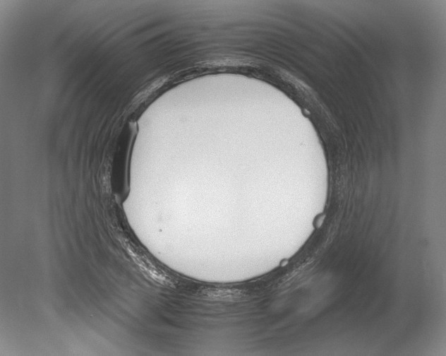X0000080170833200701051629