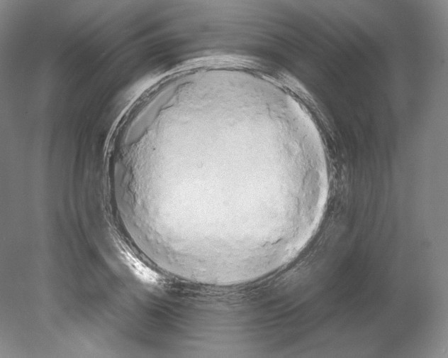 X0000080170836200701051629