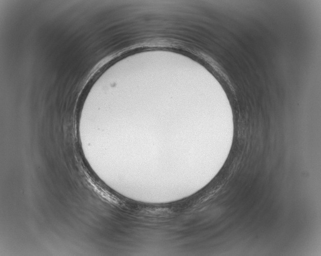 X0000080170837200701051629