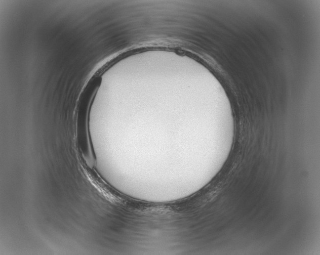 X0000080170838200701051629