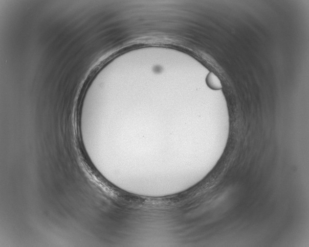 X0000080170840200701051629
