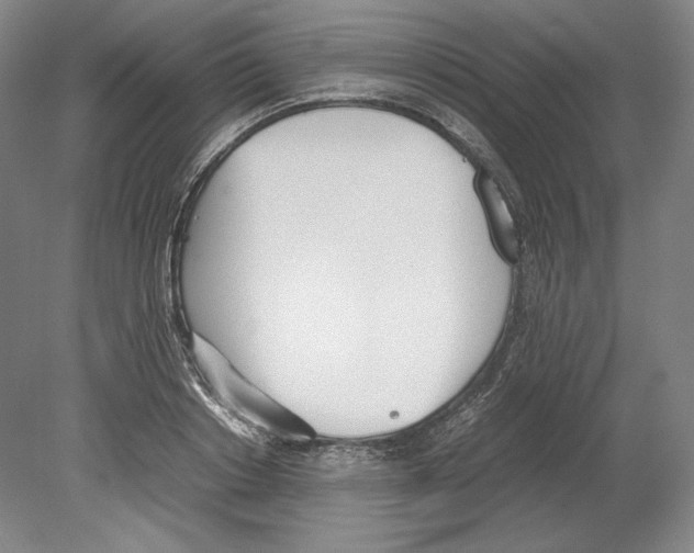 X0000080170842200701051629