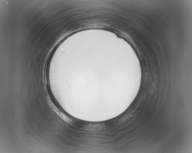 X0000080170843200701051629