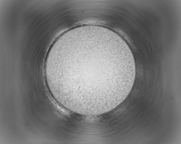 X0000080170848200701051629