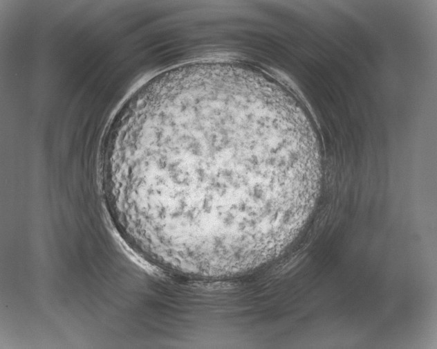 X0000080170851200701051629