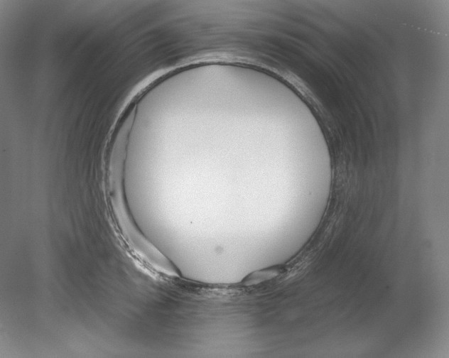 X0000080170854200701051629