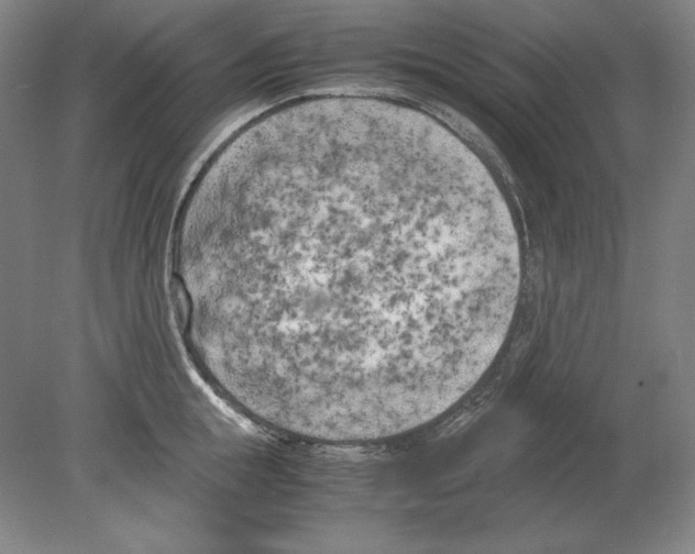 X0000080170855200701051629