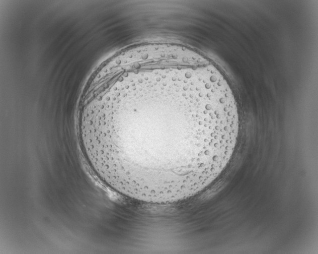 X0000080170856200701051629