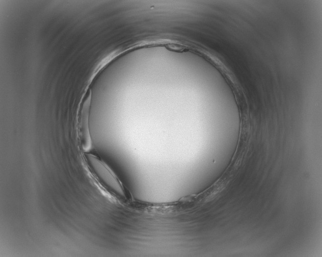X0000080170858200701051629