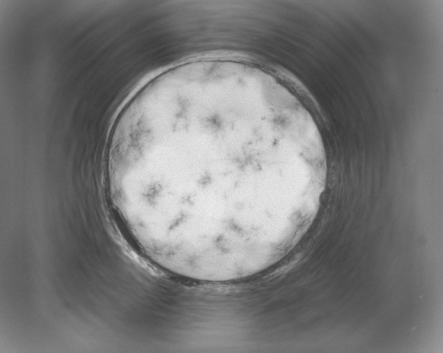 X0000080170860200701051629